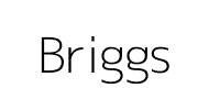 Briggs & Stratton